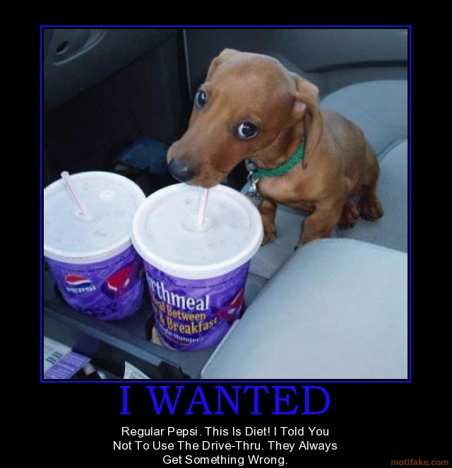 i-wanted-they-fuck-you-at-the-drive-thru-demotivational-poster-12620480681.jpg